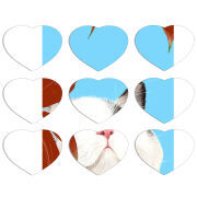 Магнитные фотопазлы Сердце 50 на 50 набор 9 штук Wondering Cat