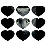 Магнитные фотопазлы Сердце 50 на 50 набор 9 штук 