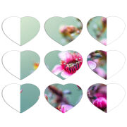 Магнитные фотопазлы Сердце 50 на 50 набор 9 штук 