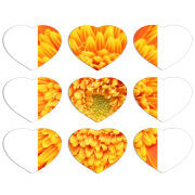 Магнитные фотопазлы Сердце 50 на 50 набор 9 штук 