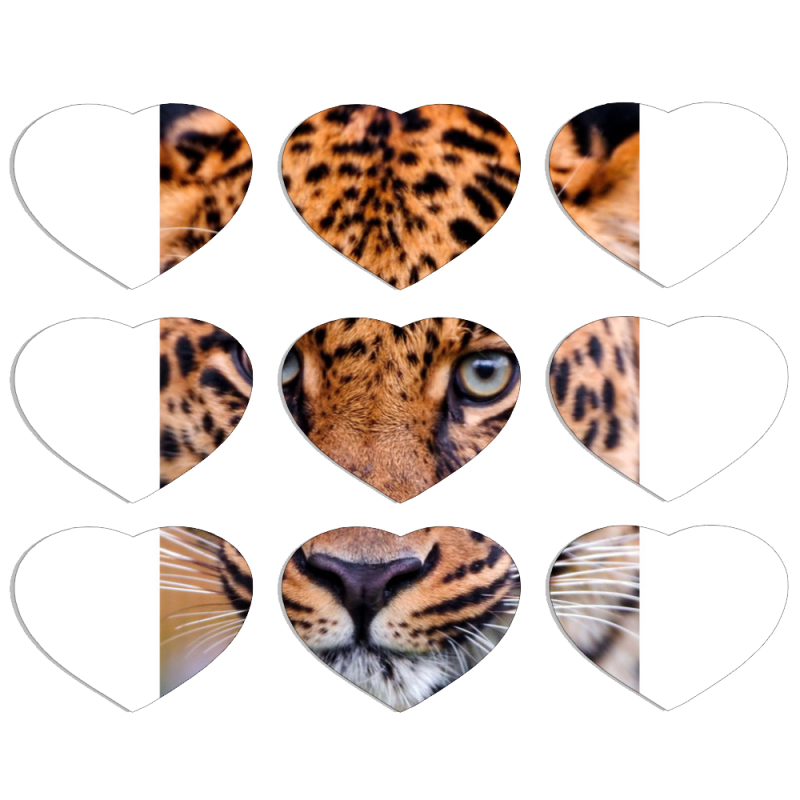 Магнитные фотопазлы Сердце 50 на 50 набор 9 штук 
