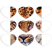 Магнитные фотопазлы Сердце 50 на 50 набор 9 штук 