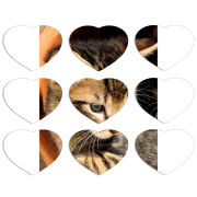 Магнитные фотопазлы Сердце 50 на 50 набор 9 штук 