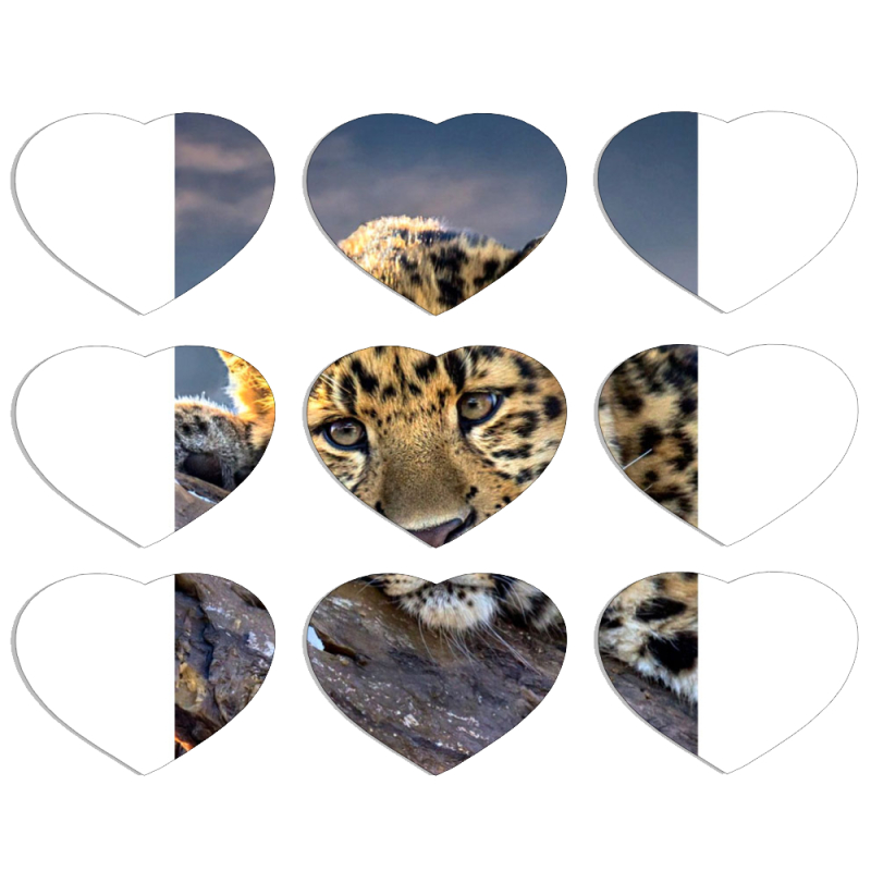 Магнитные фотопазлы Сердце 50 на 50 набор 9 штук 