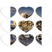 Магнитные фотопазлы Сердце 50 на 50 набор 9 штук 