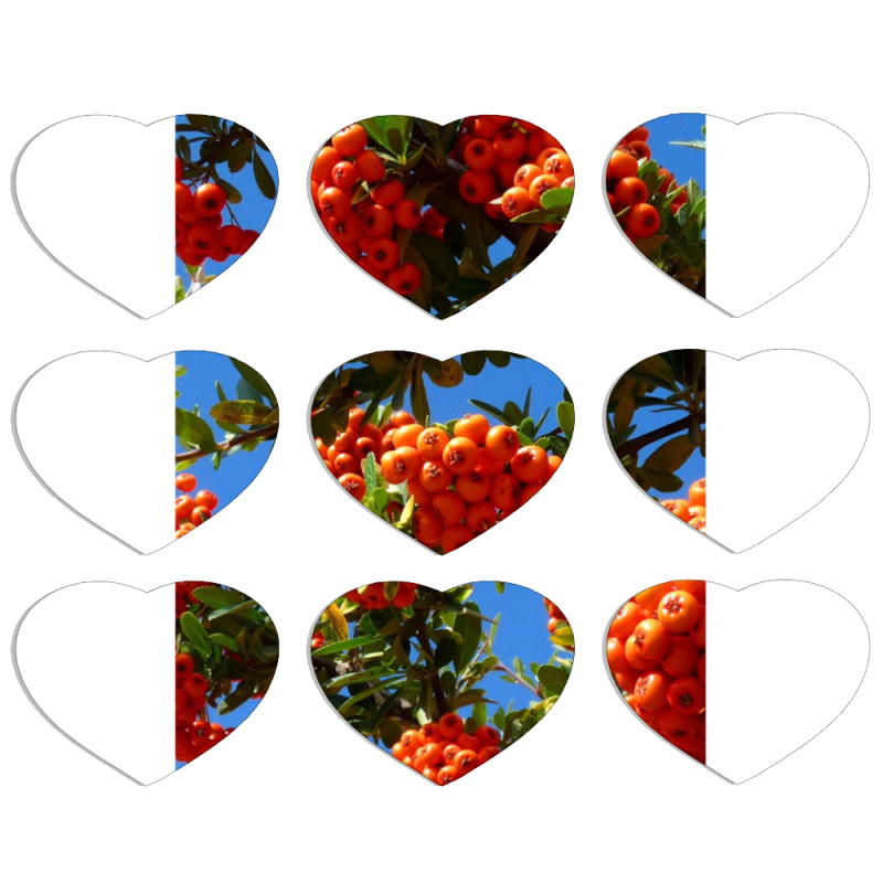 Магнитные фотопазлы Сердце 50 на 50 набор 9 штук 