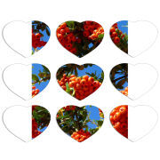 Магнитные фотопазлы Сердце 50 на 50 набор 9 штук 