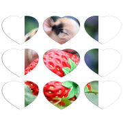 Магнитные фотопазлы Сердце 50 на 50 набор 9 штук 