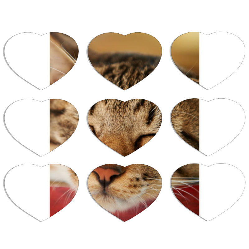 Магнитные фотопазлы Сердце 50 на 50 набор 9 штук 