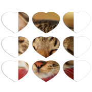 Магнитные фотопазлы Сердце 50 на 50 набор 9 штук 