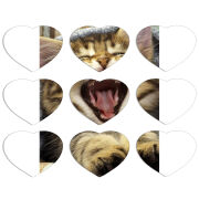 Магнитные фотопазлы Сердце 50 на 50 набор 9 штук 