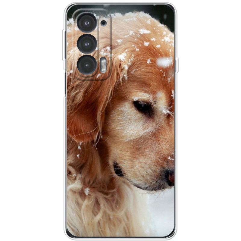 Чехол BoxFace Motorola Edge 20 Golden Retriever