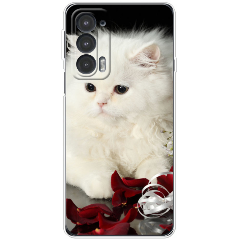 Чехол BoxFace Motorola Edge 20 Fluffy Cat