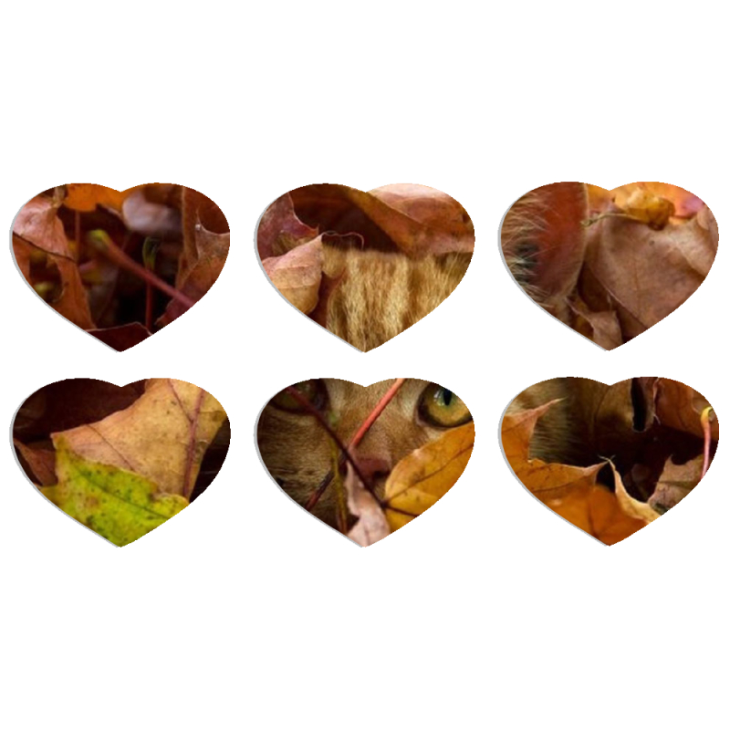 Магнитные фотопазлы Сердце 50 на 50 набор 6 штук 