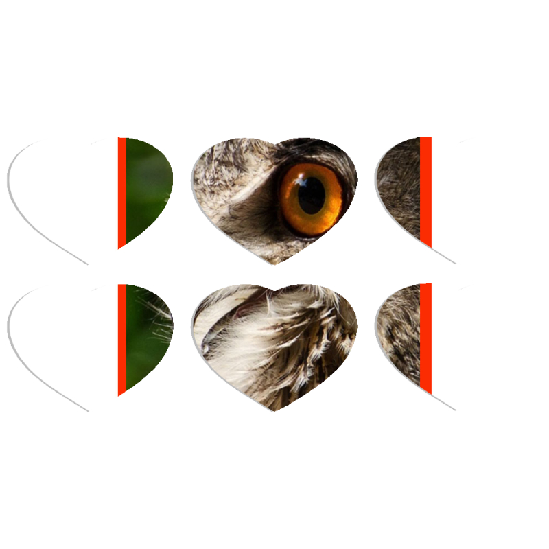 Магнитные фотопазлы Сердце 50 на 50 набор 6 штук 