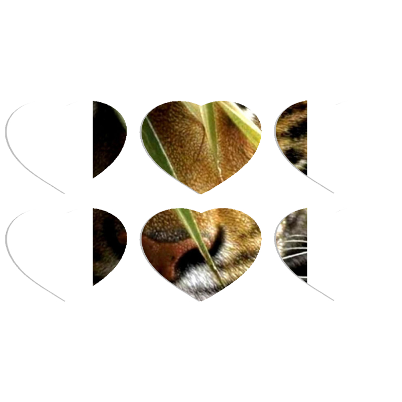 Магнитные фотопазлы Сердце 50 на 50 набор 6 штук 