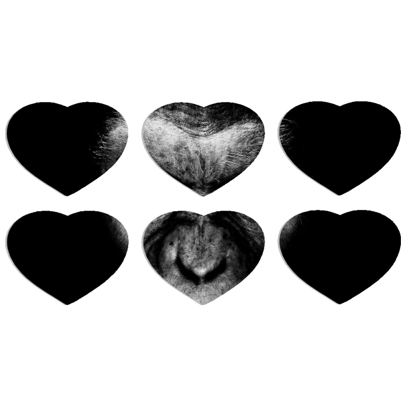 Магнитные фотопазлы Сердце 50 на 50 набор 6 штук 