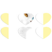 Магнитные фотопазлы Сердце 50 на 50 набор 6 штук 