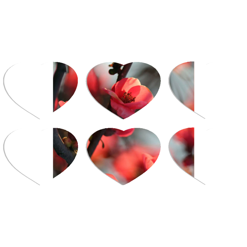 Магнитные фотопазлы Сердце 50 на 50 набор 6 штук Awakening Spring