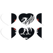 Магнитные фотопазлы Сердце 50 на 50 набор 6 штук L. F. C.