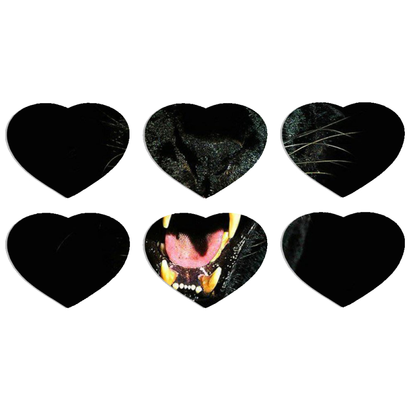 Магнитные фотопазлы Сердце 50 на 50 набор 6 штук 