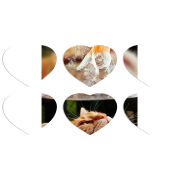 Магнитные фотопазлы Сердце 50 на 50 набор 6 штук 