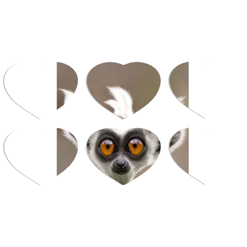 Магнитные фотопазлы Сердце 50 на 50 набор 6 штук 