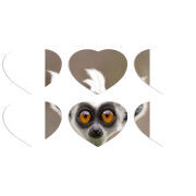 Магнитные фотопазлы Сердце 50 на 50 набор 6 штук 