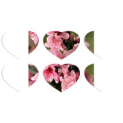 Магнитные фотопазлы Сердце 50 на 50 набор 6 штук Вишневые Цветы