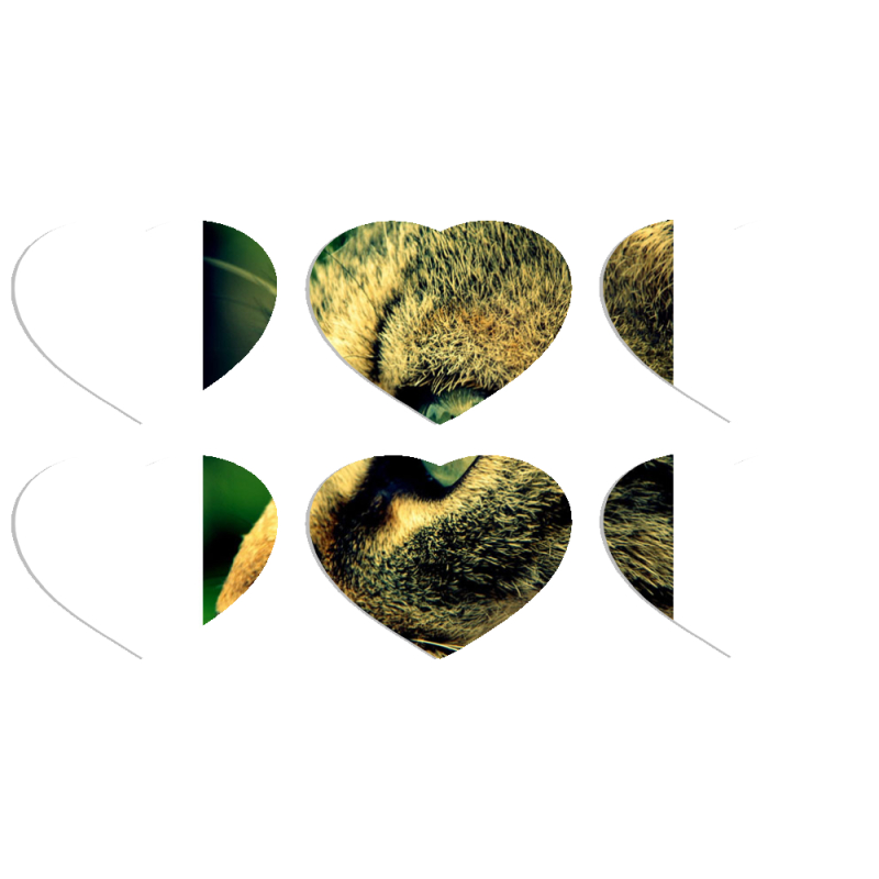 Магнитные фотопазлы Сердце 50 на 50 набор 6 штук 