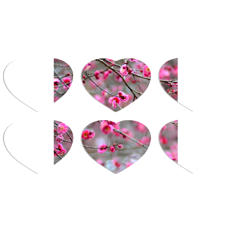 Магнитные фотопазлы Сердце 50 на 50 набор 6 штук 