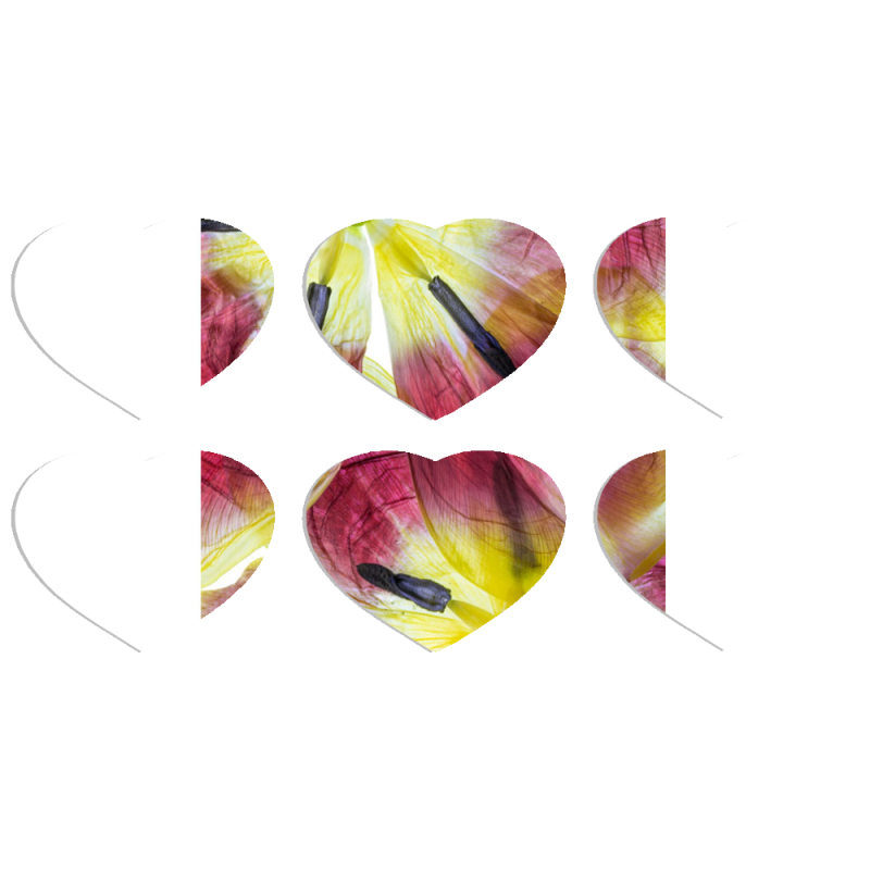 Магнитные фотопазлы Сердце 50 на 50 набор 6 штук 