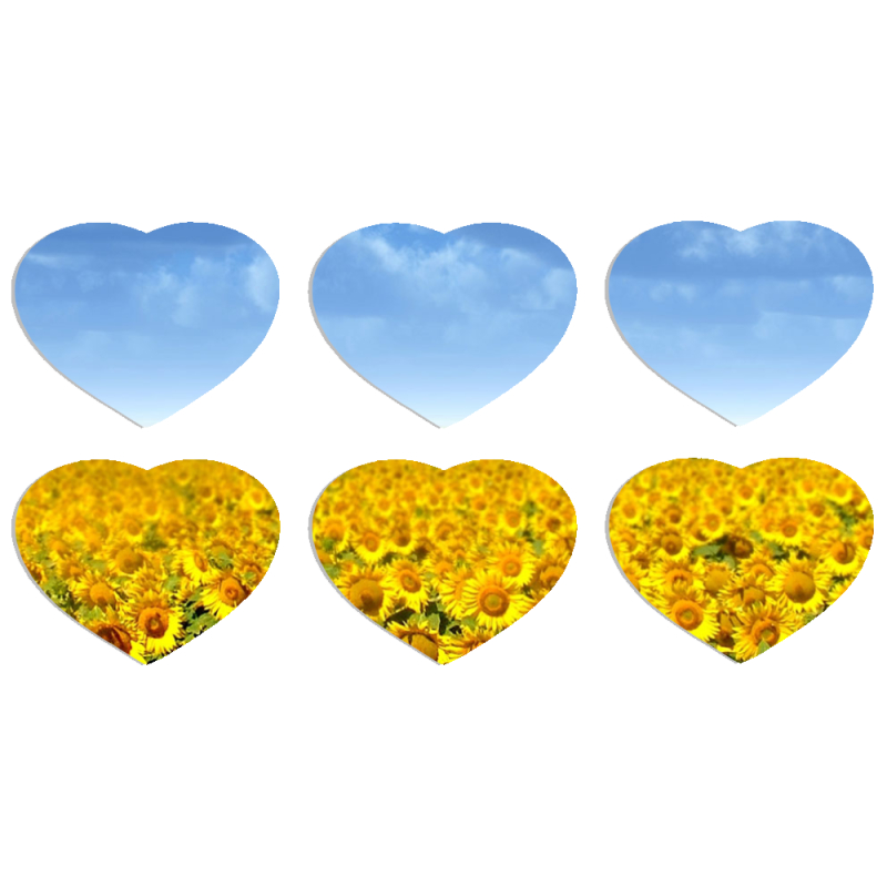 Магнитные фотопазлы Сердце 50 на 50 набор 6 штук Подсолнухи