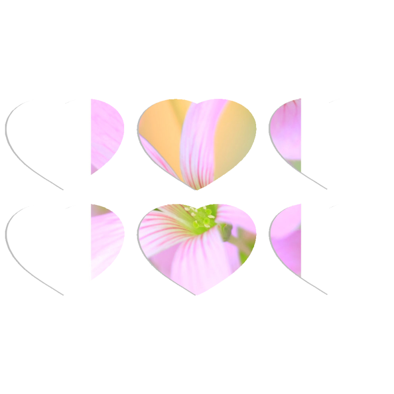 Магнитные фотопазлы Сердце 50 на 50 набор 6 штук 