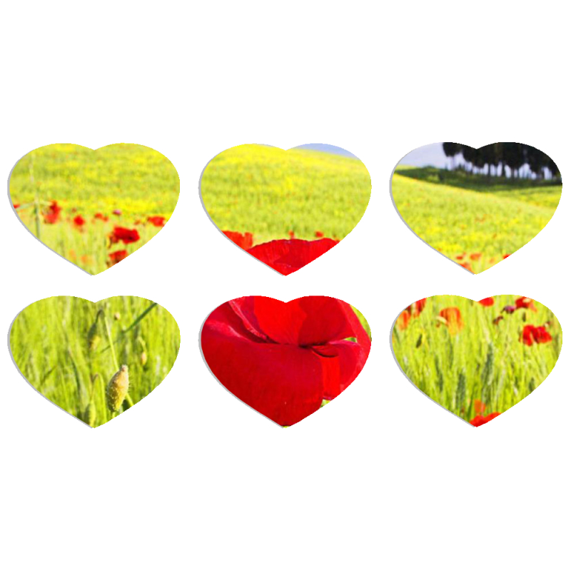 Магнитные фотопазлы Сердце 50 на 50 набор 6 штук Мак