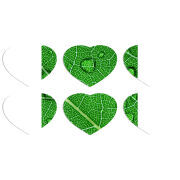 Магнитные фотопазлы Сердце 50 на 50 набор 6 штук 