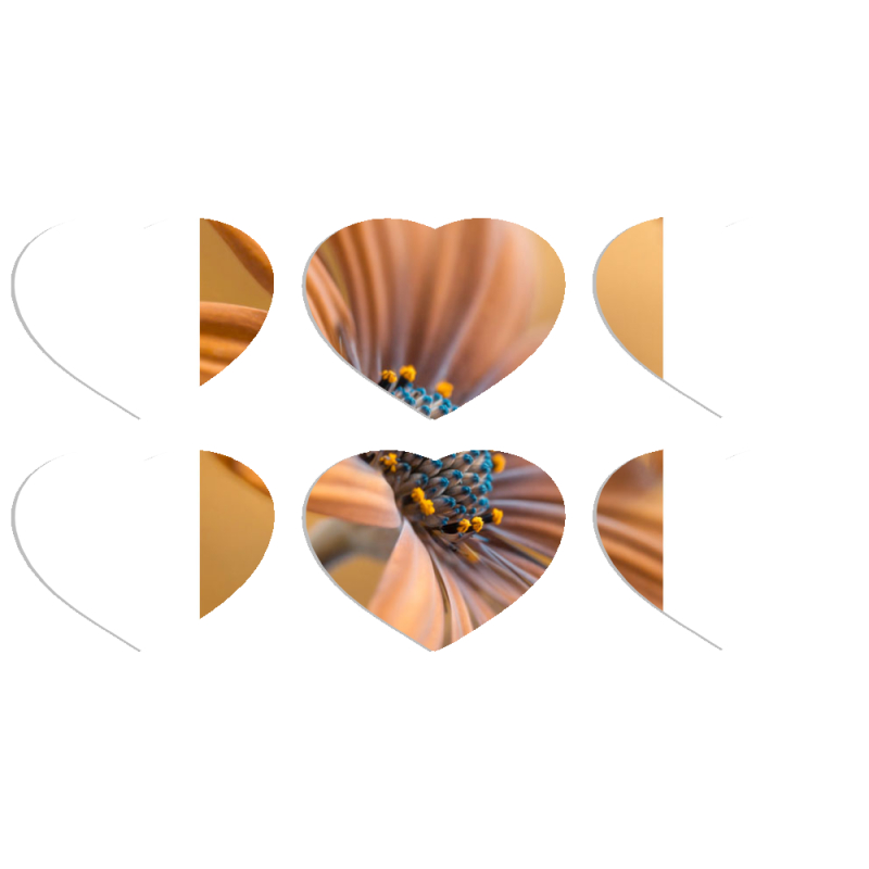 Магнитные фотопазлы Сердце 50 на 50 набор 6 штук 