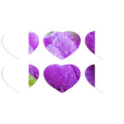 Магнитные фотопазлы Сердце 50 на 50 набор 6 штук 