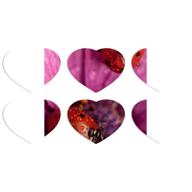 Магнитные фотопазлы Сердце 50 на 50 набор 6 штук 