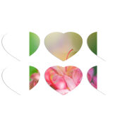 Магнитные фотопазлы Сердце 50 на 50 набор 6 штук 