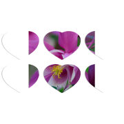 Магнитные фотопазлы Сердце 50 на 50 набор 6 штук 