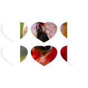 Магнитные фотопазлы Сердце 50 на 50 набор 6 штук 