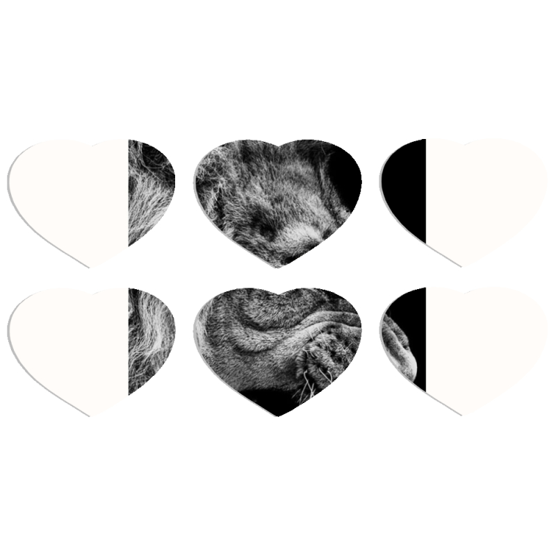 Магнитные фотопазлы Сердце 50 на 50 набор 6 штук 