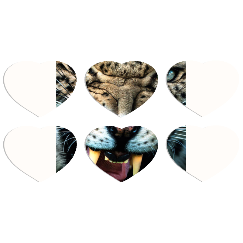 Магнитные фотопазлы Сердце 50 на 50 набор 6 штук 