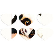 Магнитные фотопазлы Сердце 50 на 50 набор 6 штук 