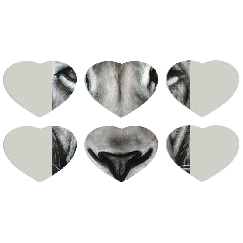 Магнитные фотопазлы Сердце 50 на 50 набор 6 штук 