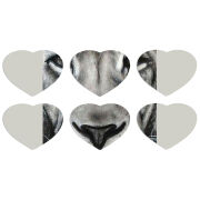 Магнитные фотопазлы Сердце 50 на 50 набор 6 штук 
