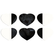 Магнитные фотопазлы Сердце 50 на 50 набор 6 штук 