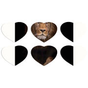 Магнитные фотопазлы Сердце 50 на 50 набор 6 штук 