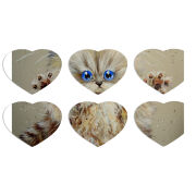 Магнитные фотопазлы Сердце 50 на 50 набор 6 штук 